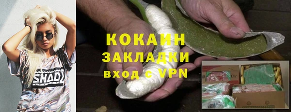 бошки Бронницы