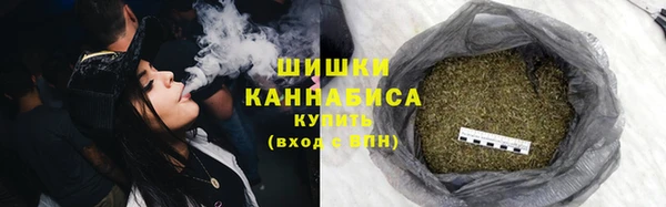 бошки Бронницы