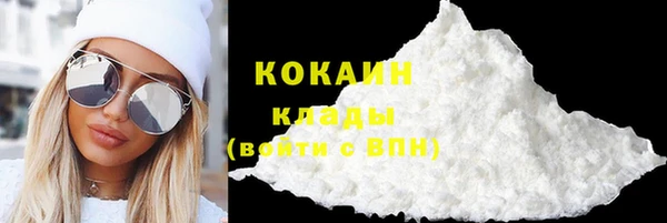 бошки Бронницы