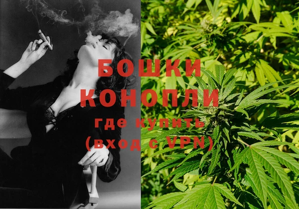 бошки Бронницы