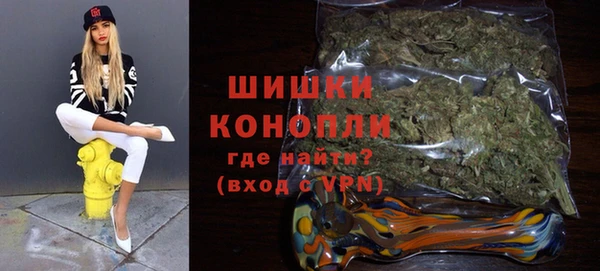 PSILOCYBIN Бугульма