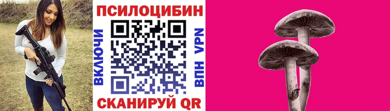 Купить где  Нерехта  Галлюциногенные грибы GOLDEN TEACHER 
